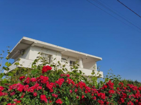 Green Villa